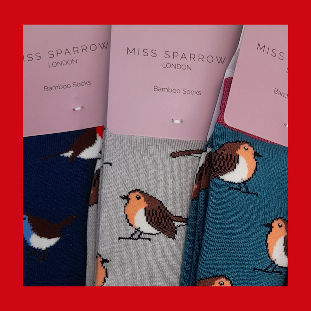 Lotika_NL's tweet photo. Sokken met roodborstjes🐦
Tweet, tweet.. Nu ook leuke bamboe sokken met roodborstjes. Een leuk cadeautje voor de feestdagen🎁

Alle sokken met vogels:
https://t.co/kMUq9ms3um

#roodborstjes #sokken #robin #kerstpakket #duurzaamcadeau #vogels #birds #vogelspotters #cadeau #vogel https://t.co/ZUkF9mTNZV