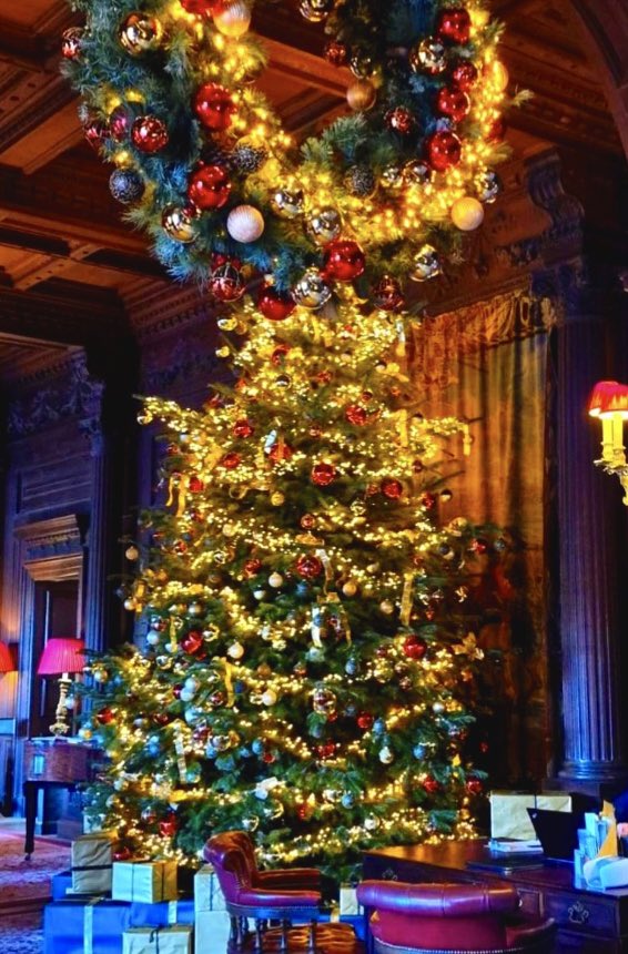 LernouxDock's tweet photo. Size matters @clivedenhouse https://t.co/c0Ej5Xl98o