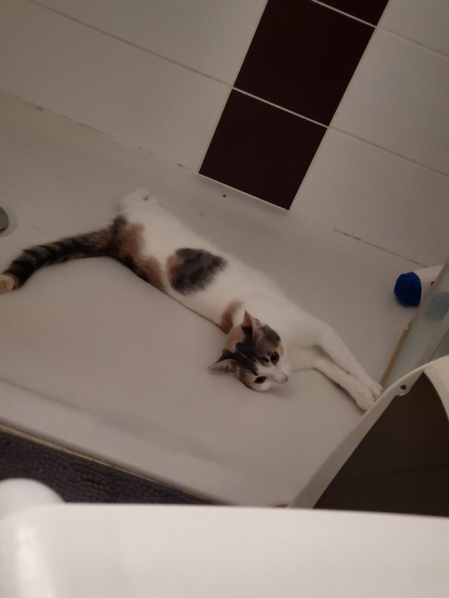 Alex they/them tweet media