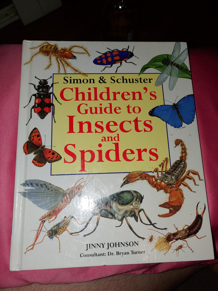 BajoranCornhole's tweet photo. Last but not least my buddy's 5 year old is obsessed with bugs and this awesome book is in pristine condition! https://t.co/SNEITY6m9K