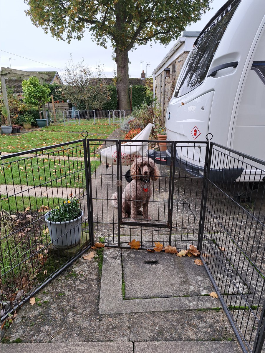 I just accidently locked <a href="/Hearingdogpuppy/">Pasha</a> Pasha outside .Good thing he barked .He is now very fed up and ignoring me!I tried to get back in his good books by giving him a couple of sprats.There are a limited of times I can tell him I am so sorry ( He was only out for 5 minutes🐩