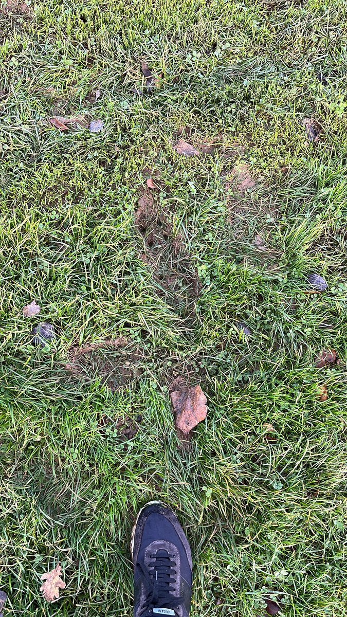 🚨 GAME OFF 

Unfortunately todays game against <a href="/bcobfc/">BCOB Fan</a> has fallen foul to the awful weather we have had this week.

A pitch inspection this morning resulted in me ruining my new trainers.

Hopefully we can finally get this game played next week. Until then, enjoy your Saturday🍻