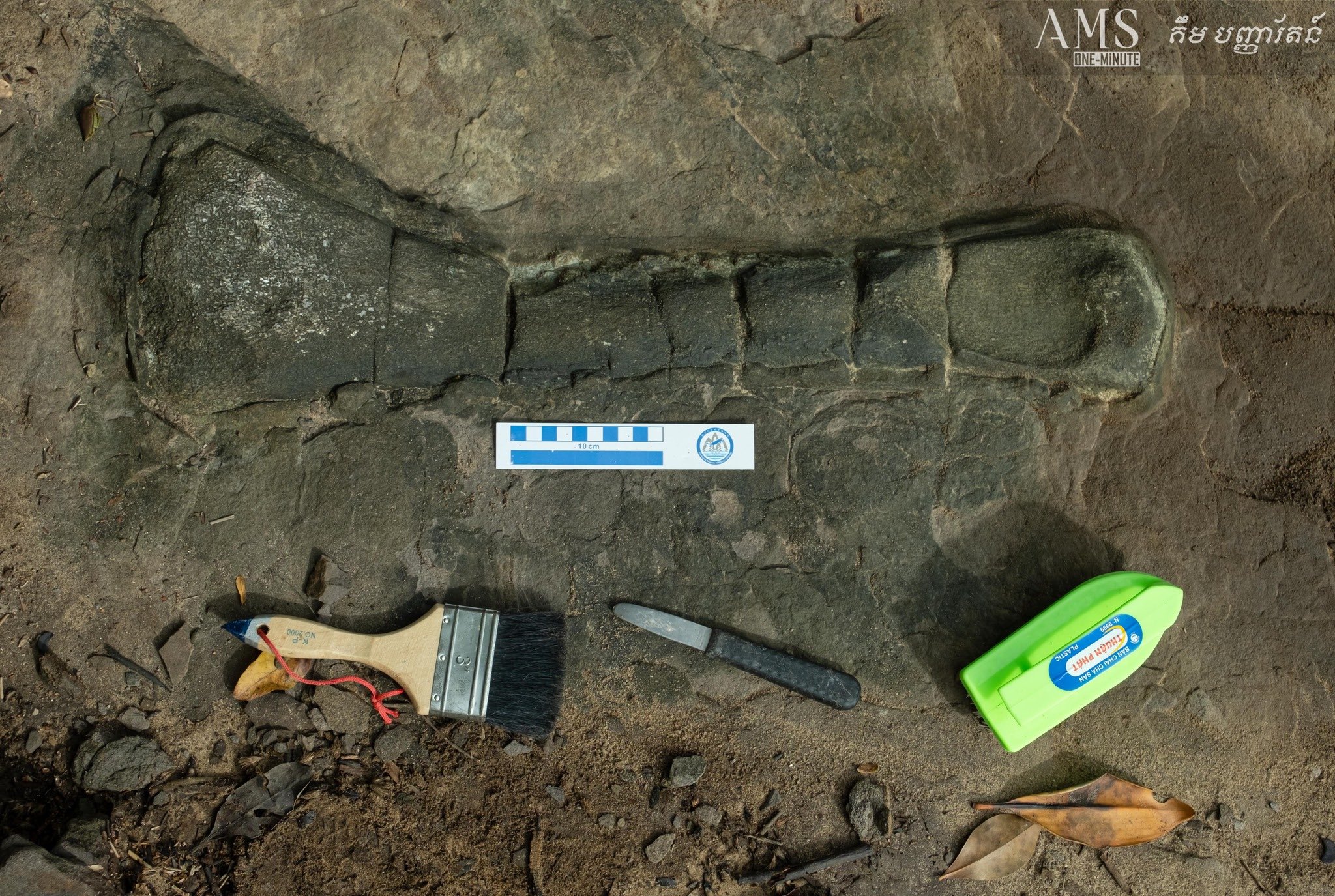 Tangmo Mopet on Twitter "The first dinosaur fossil discovered in Koh