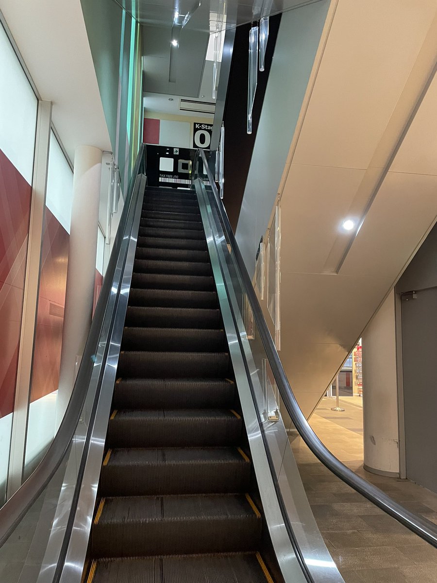 登っていきたい気持ちをグッと堪えてね
バイト頑張ろ👊( ¨̮💪)