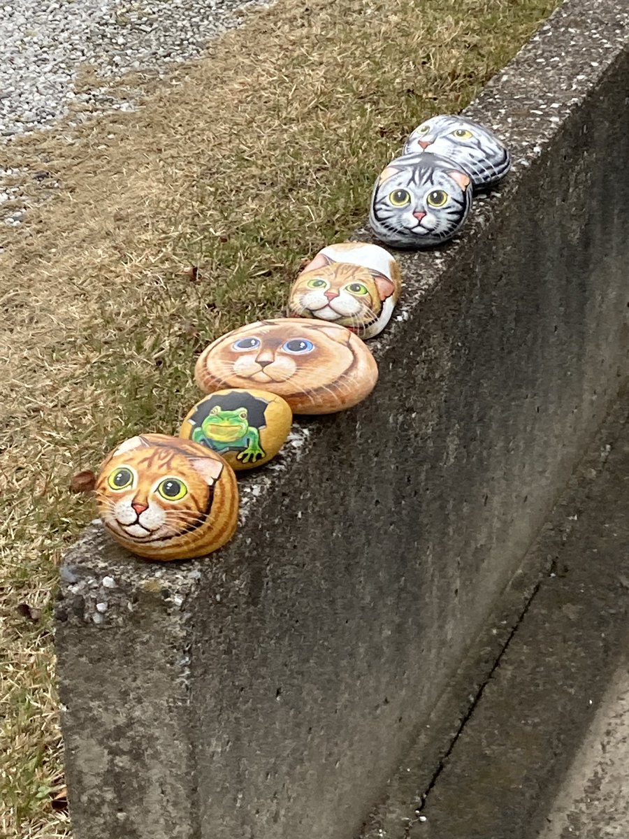 ね……猫…こんな姿に… 