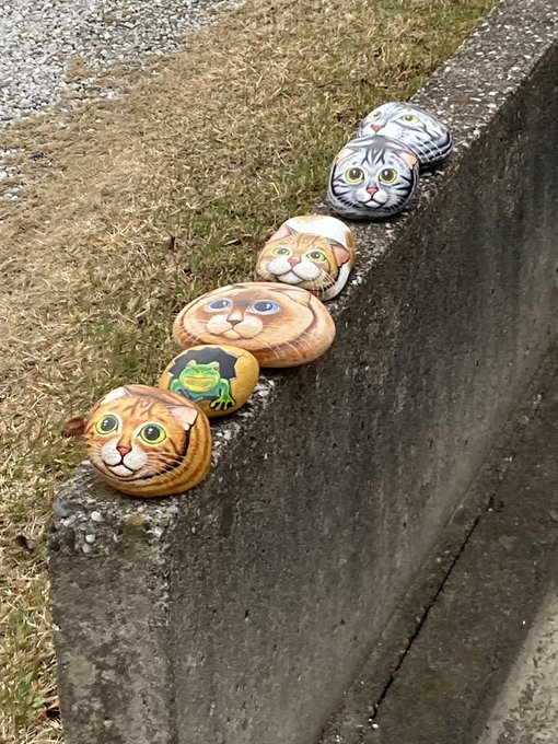 ね……猫…こんな姿に… 