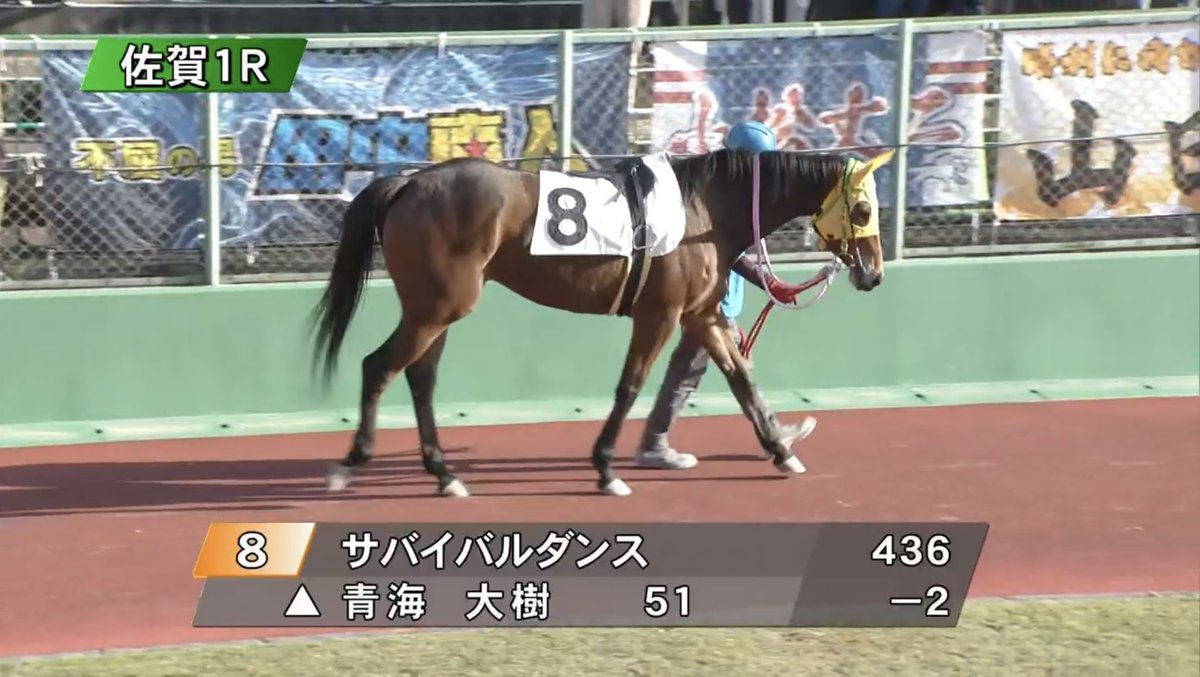 monti_25's tweet photo. プリちゃん4着だった!
掲示板内に入って、ちょっとずつ着順も上がってきて嬉しい!👏👏
#サバイバルダンス
#九州産馬
#ISSASTABLE https://t.co/aaYaT5P2L2