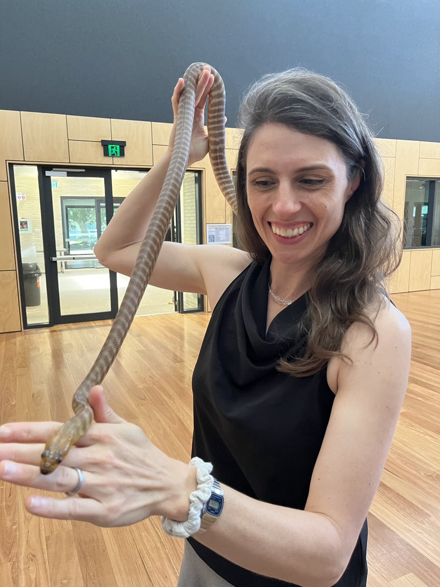 Such a pleasure to share my thoughts on reptile conservation to #MoretonBay Regional Council this morning. 123 attendees, all active bush-care volunteers who regularly make a positive difference for wildlife. Go, them! 🙌 (they also loved my adorable pet snake 🥰).