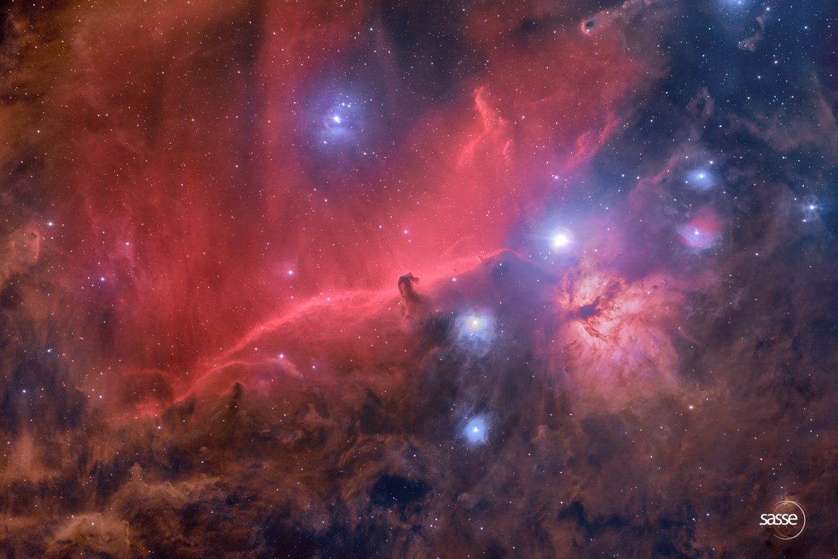 The Horsehead Nebula dust cloud region in only 4.5 hours - RASA 14 and a color camera with no filters.  #Astrophotography #astronomy #Cosmos #Australia