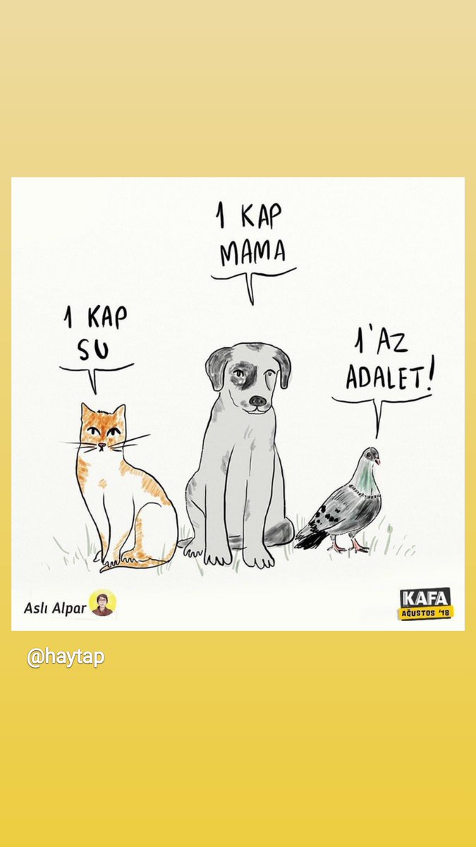 bi kap suyu cok gören insan oğlu #ALLAHBELANIZIVERSIN