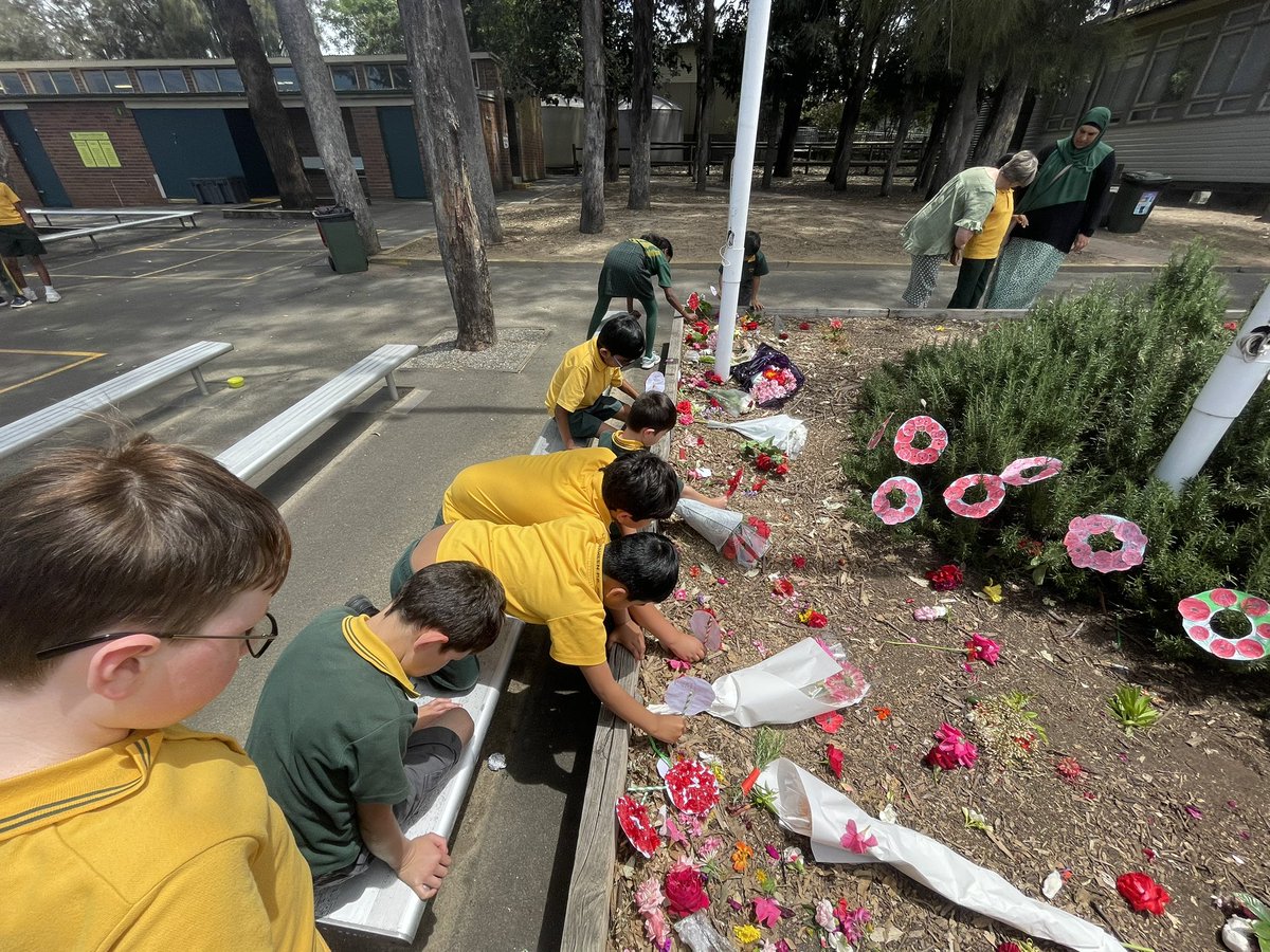 Remembrance Day 2022- placing the poppies we made 🌹 #wewillrememberthem #nsweducation #nswdet #sped