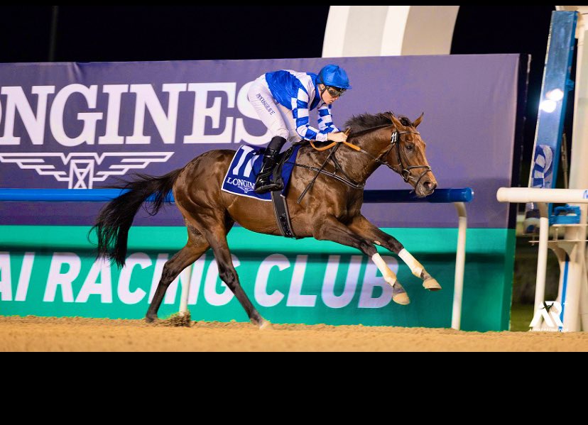 Royal Dubai (FR) takes the win under @patcosgrave last night at Meydan for Saeed Sultan Al Rahoomi🏆🥇