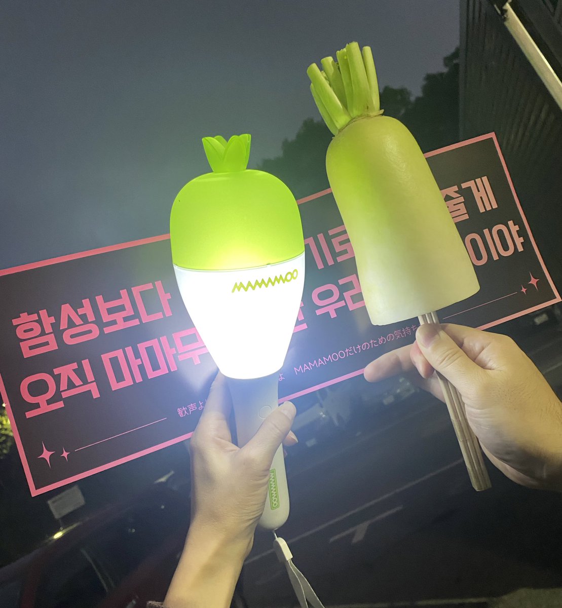 RT @annyon_9o9: 行ってきます☺️☺️💓💓ww #MAMAMOO #ペンライト