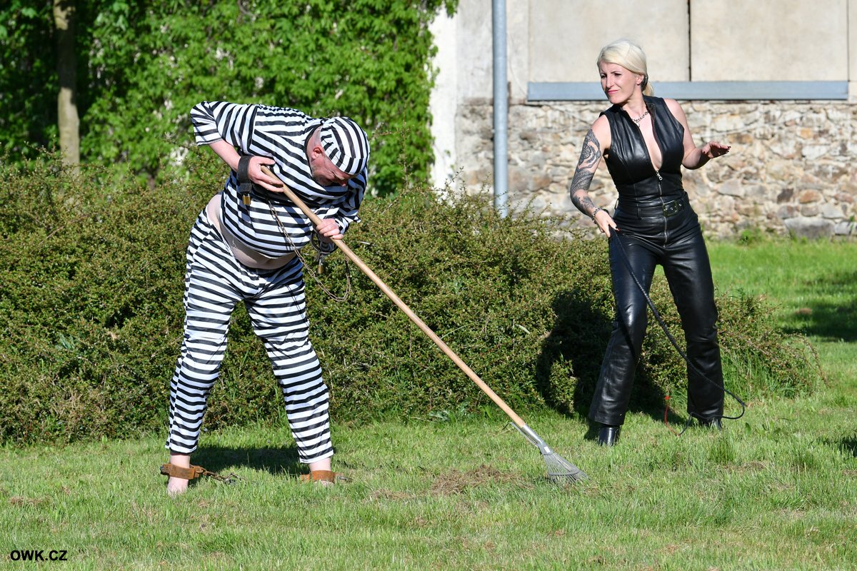 OWK CASTLE On Twitter RT OWKreal Http OWK CZ Update For OWK owk-castle-on-twitter-rt-owkreal-http-owk-cz-update-for-owk