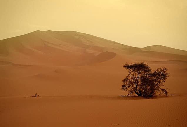DiscoverAyer's tweet photo. L’immense Tenere(Sahara) du #Niger 🇳🇪, à la fois magnifique et terrifiant ! https://t.co/LNNmtUweMS