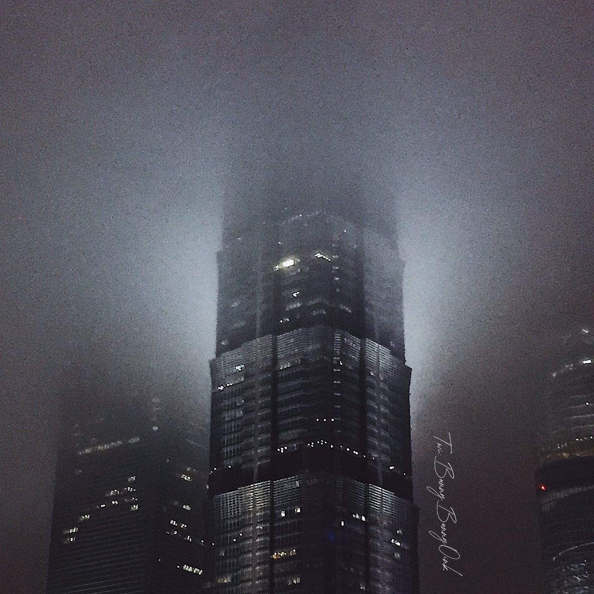 猪子 (@bubble2bunny) on Twitter photo 