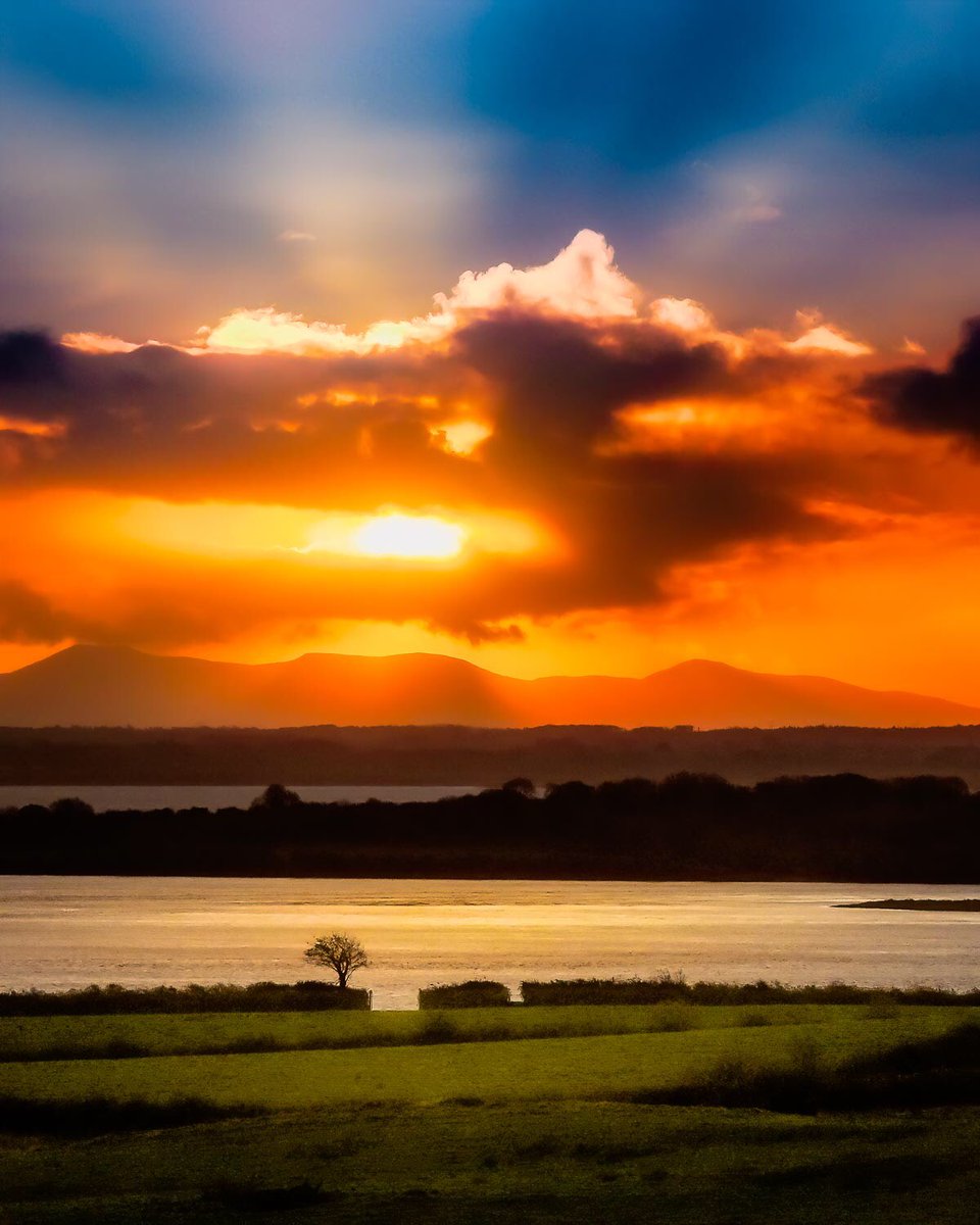 GM and Happy Saturday!

From my “Magical Irish Sunrises” Collection
0.10 Ξ 1/1s
Link ⤵️