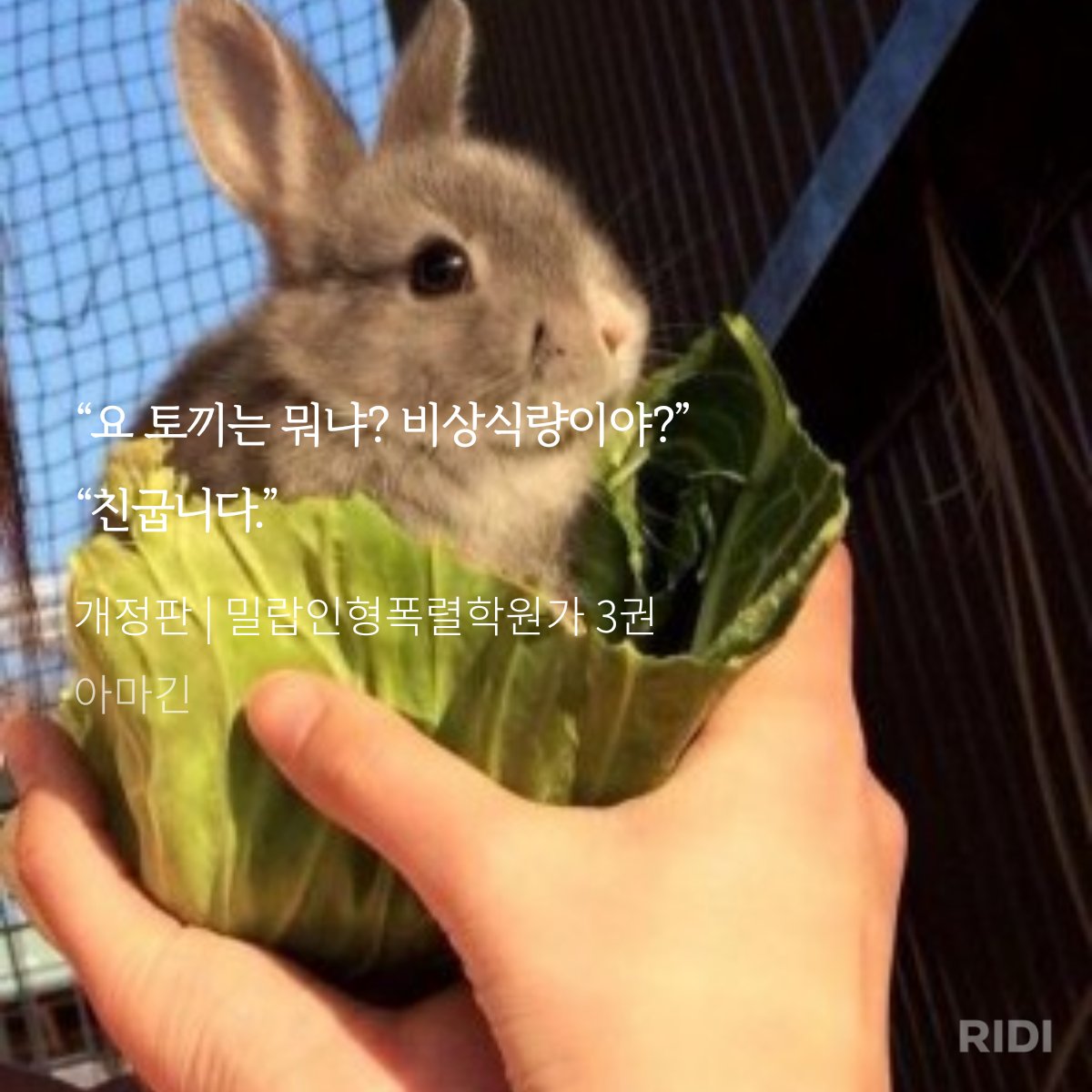 바게트빵 tweet media