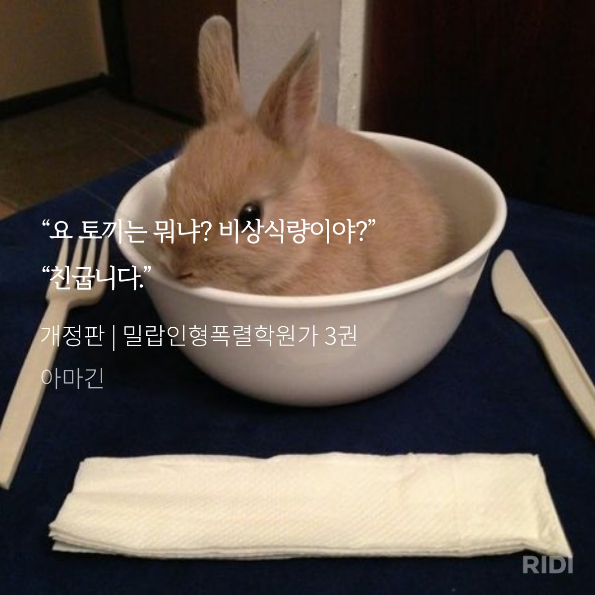 바게트빵 tweet media