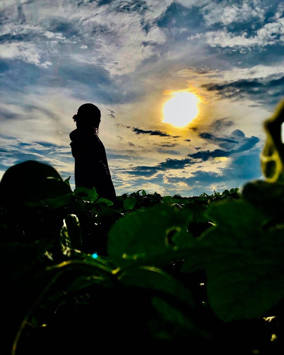 GagaUwera's tweet photo. Agriculture is the brightest hope, the right path to take and a promising career. https://t.co/Ib3094LOjZ