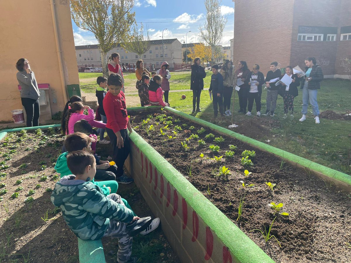 ceip_x's tweet photo. 25N Dia contra la violencia de género.Sembramos vida. Pongamos fin a la violencia de género 💜 #renaturalizacióndepatios #huertoescolar #díacontralaviolenciadegénero https://t.co/xg5TgSxU0I