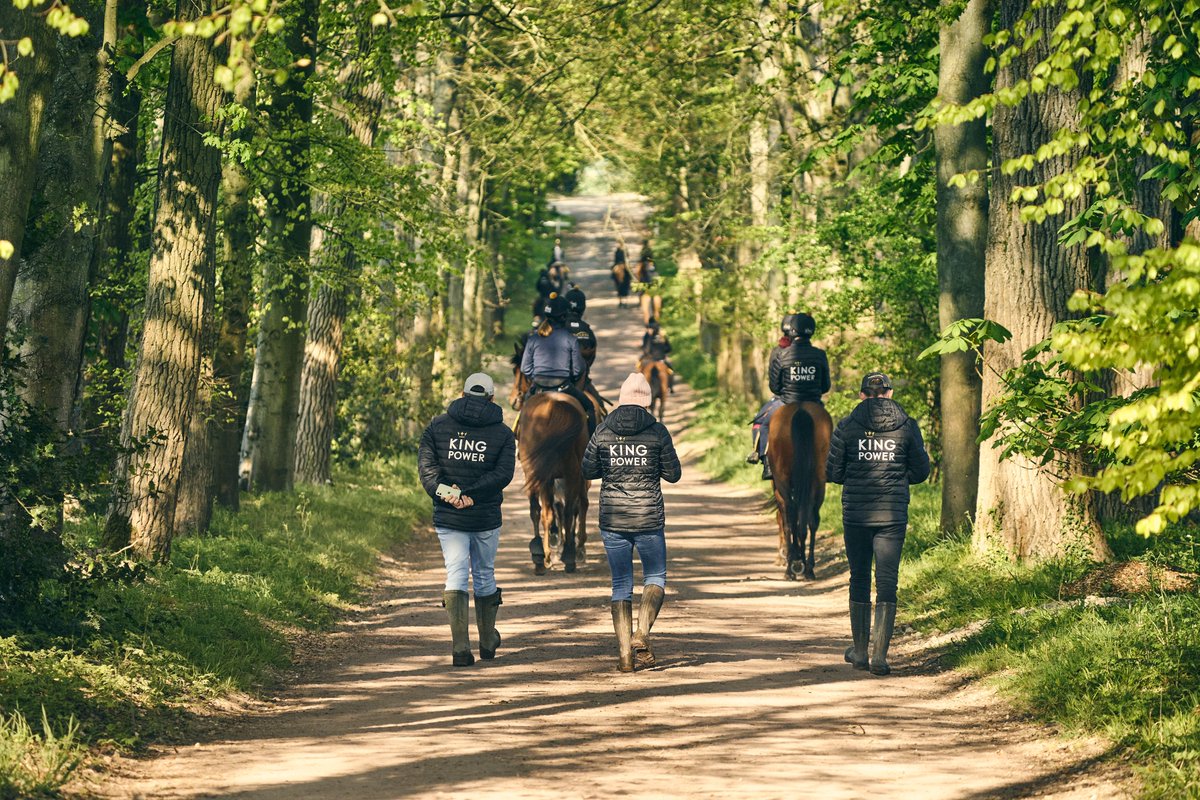 ThePaddandPav's tweet image. It&apos;s a busy time for the podcast as on Sunday.  We have a double bill! Part 2 of our @fairbreakglobal  series with our Fairbreakers &amp;amp; a review of #HorsePower @amazon  @PrimeVideo four part series behind the scenes at #AndrewBalding Kingsclere yard with Dave James of @EquineP