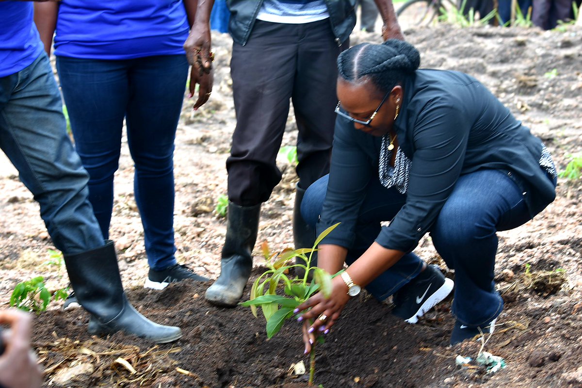 Ministry of Local Government | Rwanda on Twitter: