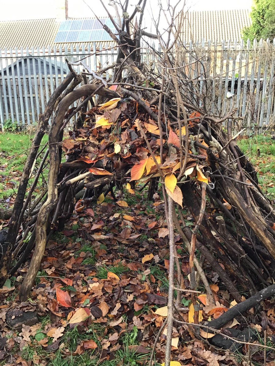 SalisburySPS's tweet photo. Year 3 are reading and writing an adventure story based on the text Stone Age Boy. They had a wonderful afternoon finding out what it was like to live in the Stone Age. They worked brilliantly as a team to build a fantastic den. #salisburystars #thewritestuff #satoshikitamura https://t.co/OXt1yqo0CK