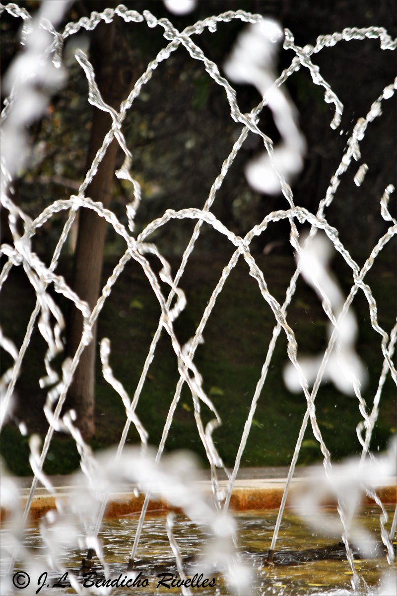 SELU©Photography (@proyecfotoselu) on Twitter photo 