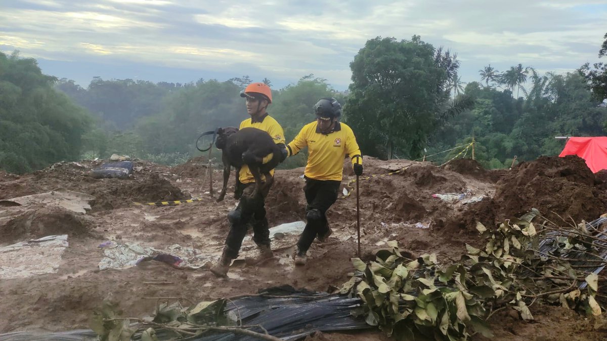 Inget Coco?
Di antara duka Cianjur, dpt info kalo Coco ikut terjun bantu relawan d sana. Anjing loyal itu sdh temukan 3 korban tertimbun. Dia digendong pasca bertugas utk efisiensi menempuh medan yg berlumpur.
Smoga lbh byk lagi korban ktemu 🥺🙏
Salut utk para relawan, jg Coco⚘