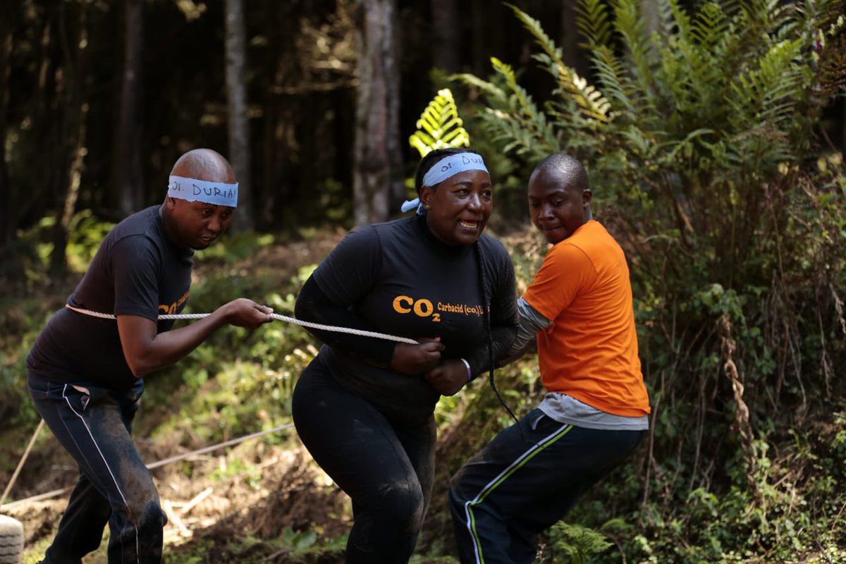 eawildlife's tweet photo. #Theforestchallenge #ourforestsourfuture #forestchallene https://t.co/NvpeJTA9zb