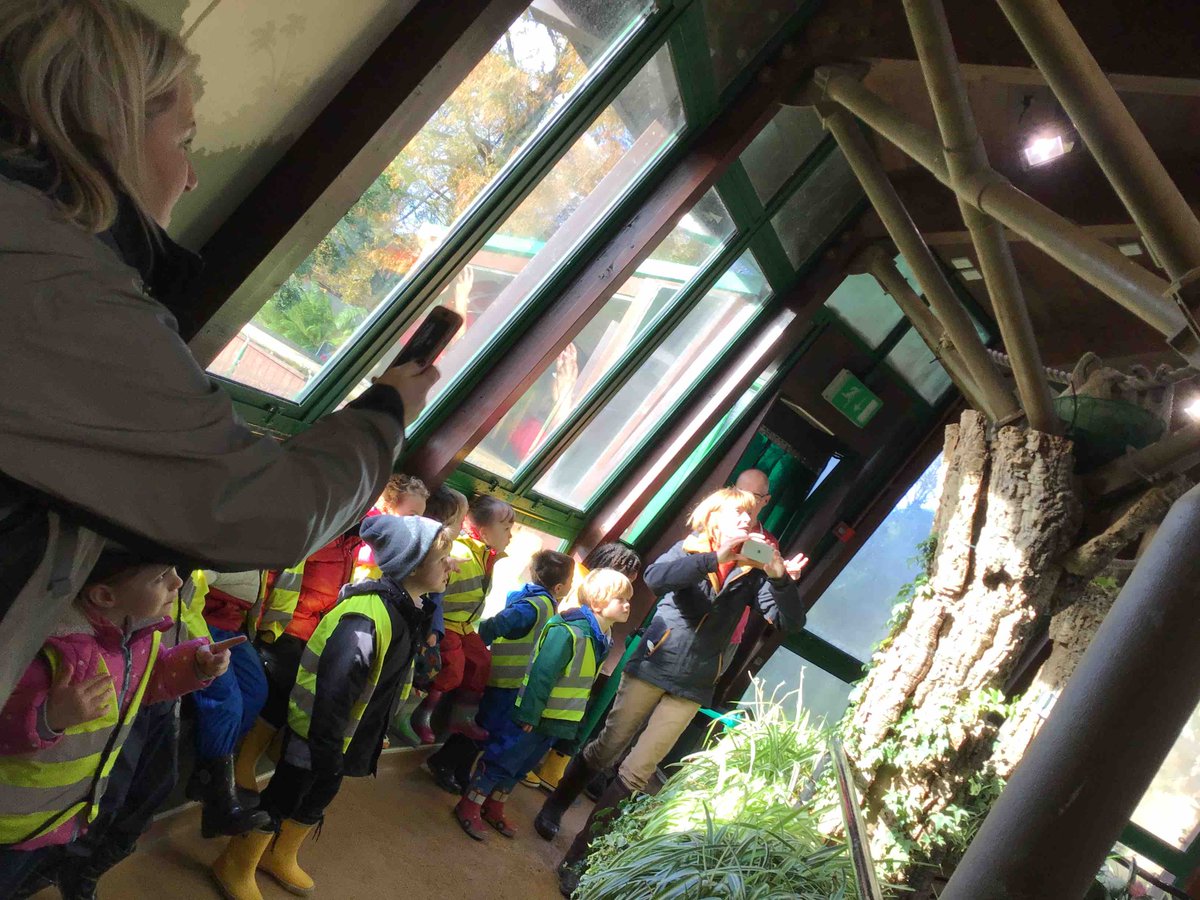 St Michael's Prep School tweet media