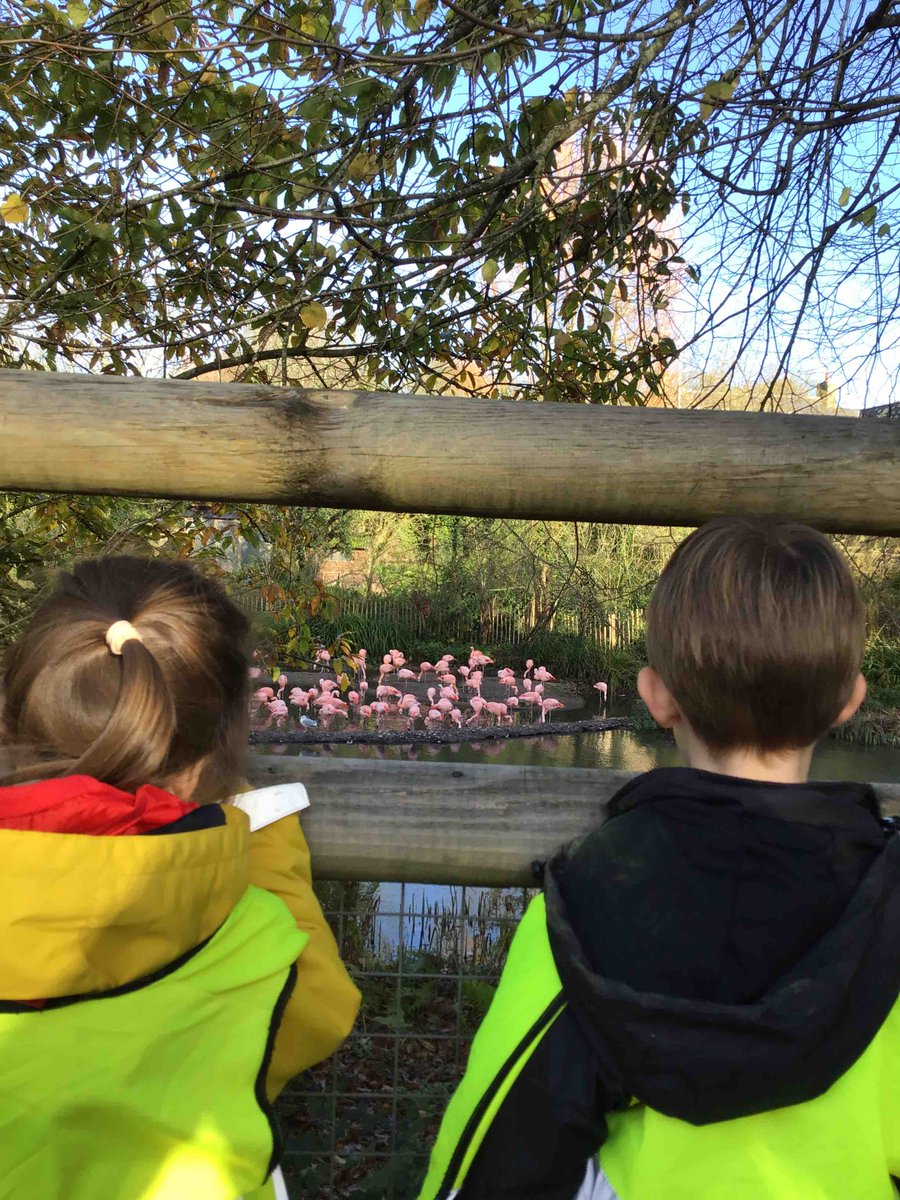 St Michael's Prep School tweet media