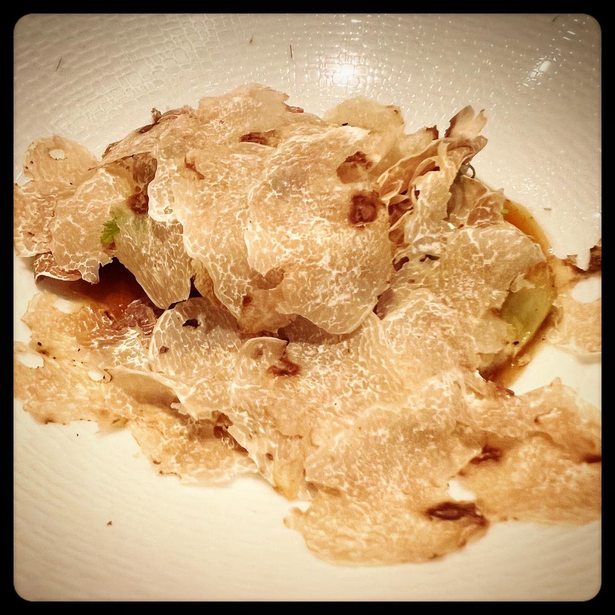 ultimate_kaiser's tweet photo. Chef @umbertobombana never disappoints…enough said.

#theultimatekaiser #superyummylicious #thoseintheknowwillappreciate

#londonfood #londoneats #taipeifoodie #taipeifood #taipeifoodie台北 #londonstyle #whitetruffles #alba #letitrain #nocaptionnecessary #onlythebest https://t.co/OM2B7PsFNB