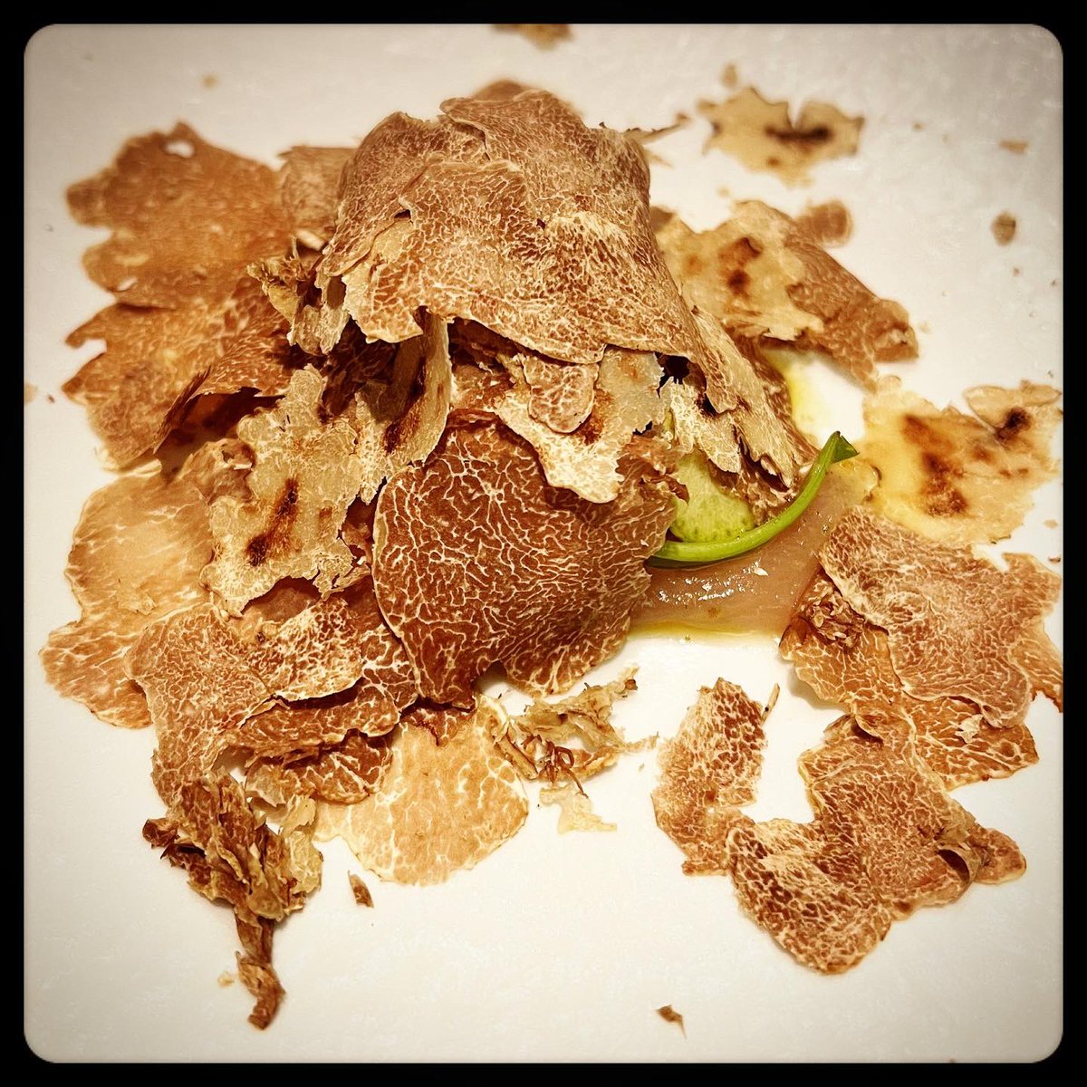 ultimate_kaiser's tweet photo. Chef @umbertobombana never disappoints…enough said.

#theultimatekaiser #superyummylicious #thoseintheknowwillappreciate

#londonfood #londoneats #taipeifoodie #taipeifood #taipeifoodie台北 #londonstyle #whitetruffles #alba #letitrain #nocaptionnecessary #onlythebest https://t.co/OM2B7PsFNB