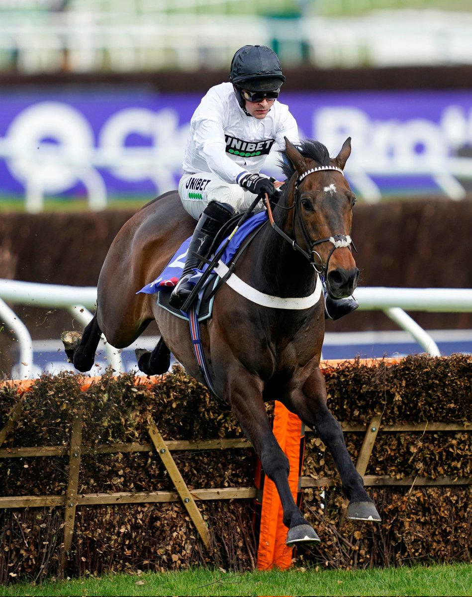 Stephen R Power (@racingblogger) on Twitter photo 💷 If CONSTITUTION HILL wins the FIGHTING FIFTH HURDLE I'll give £50 CASH to one of you Lucky People! 🚀
To Enter: 👇
1️⃣ RT this Tweet
2️⃣ Follow <a href="/racingblogger/">Stephen R Power</a>
💷 instagram.com/racingblogger
#Newcastle #Constitutionhill #Win 💷 If CONSTITUTION HILL wins the FIGHTING FIFTH HURDLE I'll give £50 CASH to one of you Lucky People! 🚀
To Enter: 👇
1️⃣ RT this Tweet
2️⃣ Follow <a href="/racingblogger/">Stephen R Power</a>
💷 instagram.com/racingblogger
#Newcastle #Constitutionhill #Win