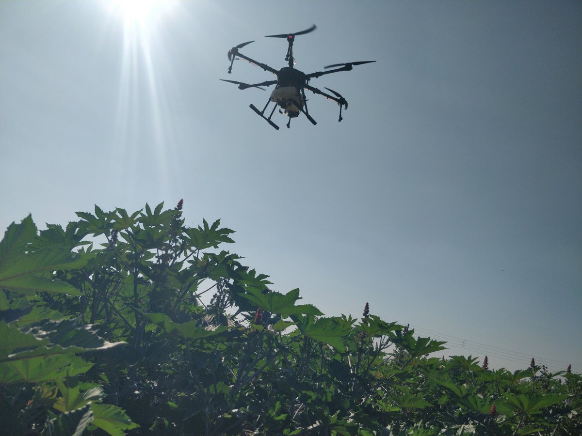 આજ રોજ તારીખ 26/11/2022 ગામ -સાપાવાડા,તાલુકો -ઈડર, જિલ્લો -સાબરકાંઠા ખાતે ડ્રોન ટેક્નોલોજીના ઉપયોગથી નેનો યુરિયા ખાતર નો દિવેલા પાકમાં છંટકાવ કરવામાં આવ્યો અને ખેડૂતોને આધુનિક ટેક્નોલોજી ના ઉપયોગથી ઓછા ખર્ચે સમયની બચત સાથે વધુ ઉત્પાદન મળે તેની સમજ આપવામાં આવેલ.