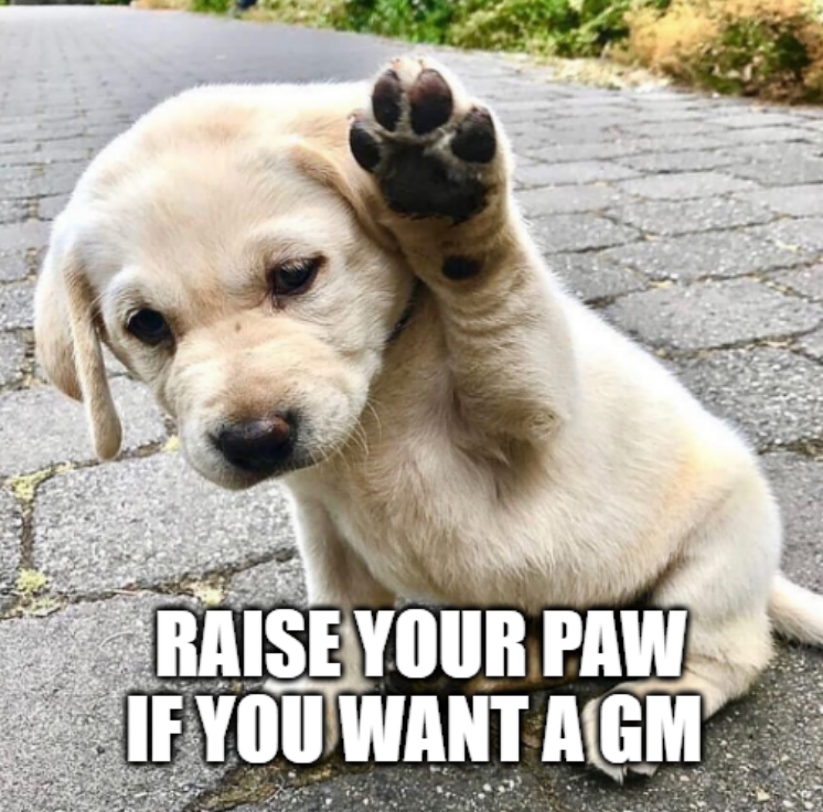 Gm to everyone here on the weekend! 😊💜