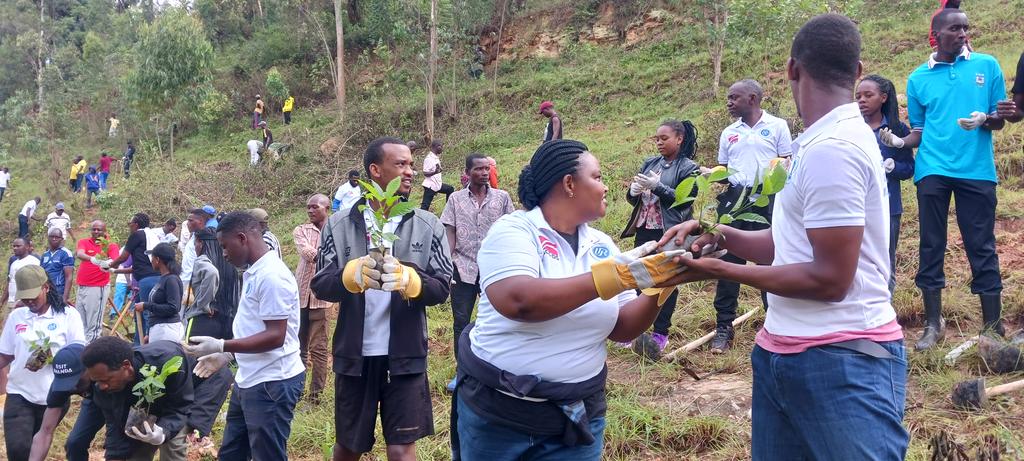 Uni_Rwanda's tweet photo. Much appreciation to UR students &amp; staff for energy &amp; vibes on this special #Umuganda which marked planting thousands of trees on #Mburabuturo hill. Congrats to the Embassy of the Republic of Congo as they commemorate the 64th Anniversary of proclamation of the Republic of Congo https://t.co/aJ226uIykA