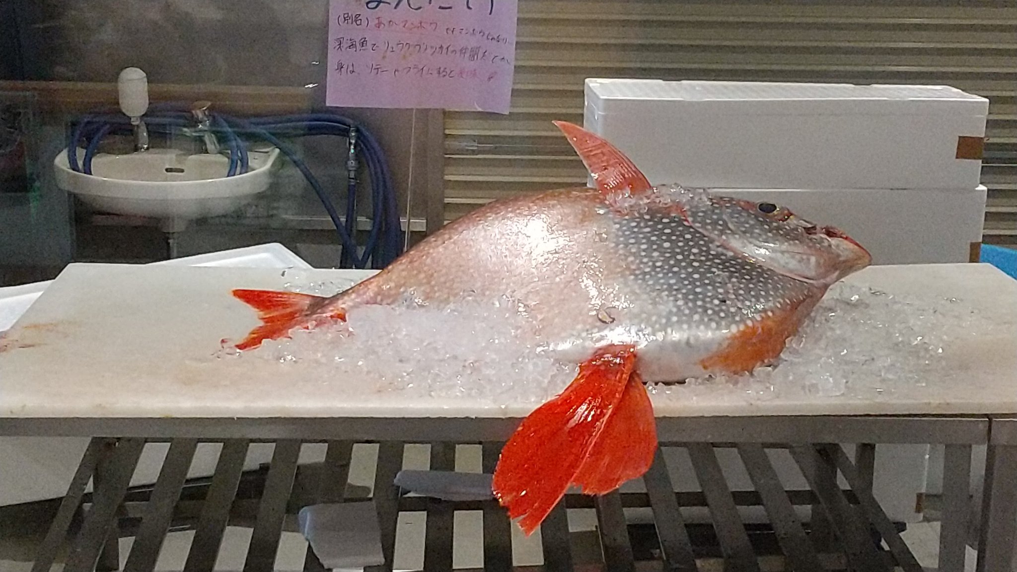 まんだい Twitter Search Twitter