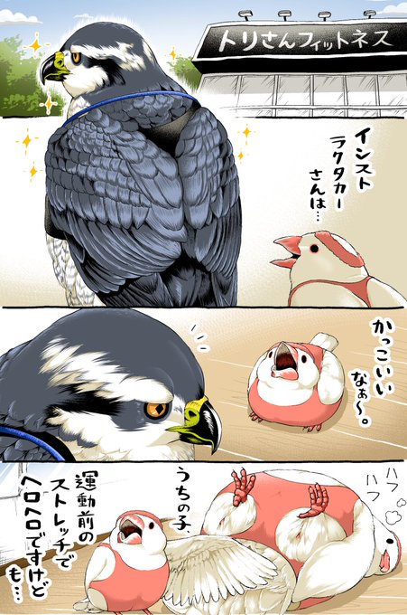 面白いギャグだなぁと思ってるギンバトさん。 