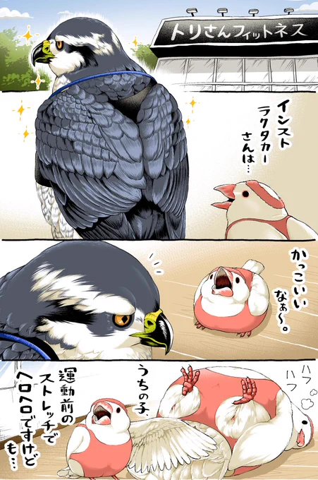 面白いギャグだなぁと思ってるギンバトさん。 