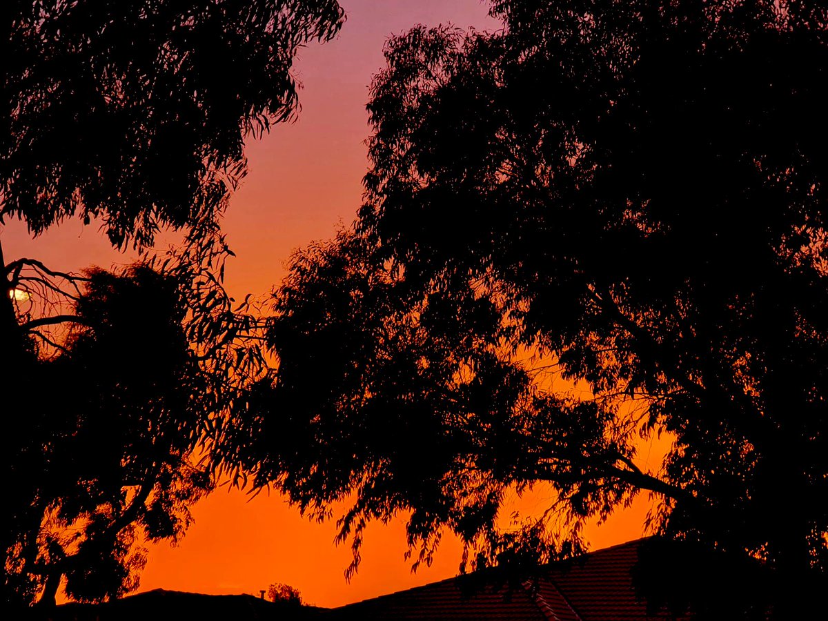 dalz__e's tweet photo. Amazing sunset tonight. 
Who knows how long we will be allowed to go outside and watch it. 

#FuckDanAndrews 
#FuckLockDowns 
#FuckDanAndrews https://t.co/00mK8z8H4B