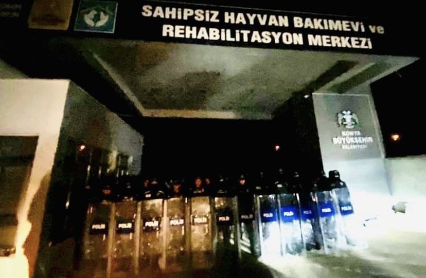 #Konyadakatliamvar  #Cumhurbaşkanıkonyabarınağına lütfen herkes destek olsun yeter artık bu meleklerin iblislerden çektiği onlara kalkan elleriniz kırılsın çoluk çocuğunuzdan bin beteri çıksın ..