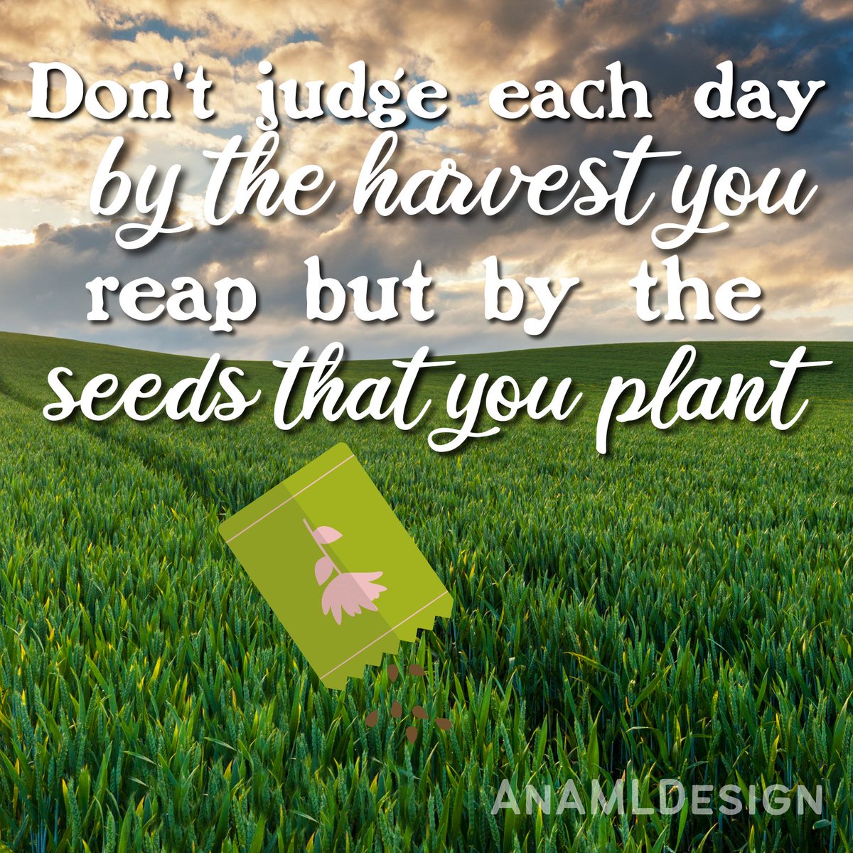 aml_films's tweet photo. I love this quote! Hope everyone has a fantastic day and weekend! https://t.co/zWdrL9iSTM