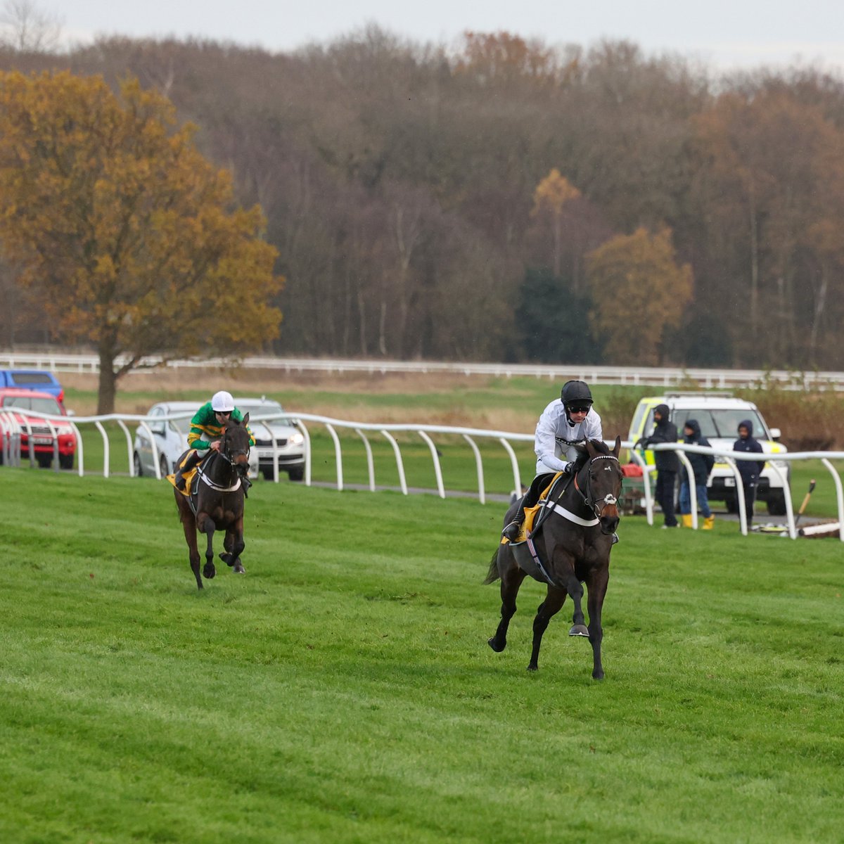 RacingPost's tweet image. 🗣 "𝗛𝗲𝘆 𝗦𝗶𝗿𝗶... show me the best horse in training"