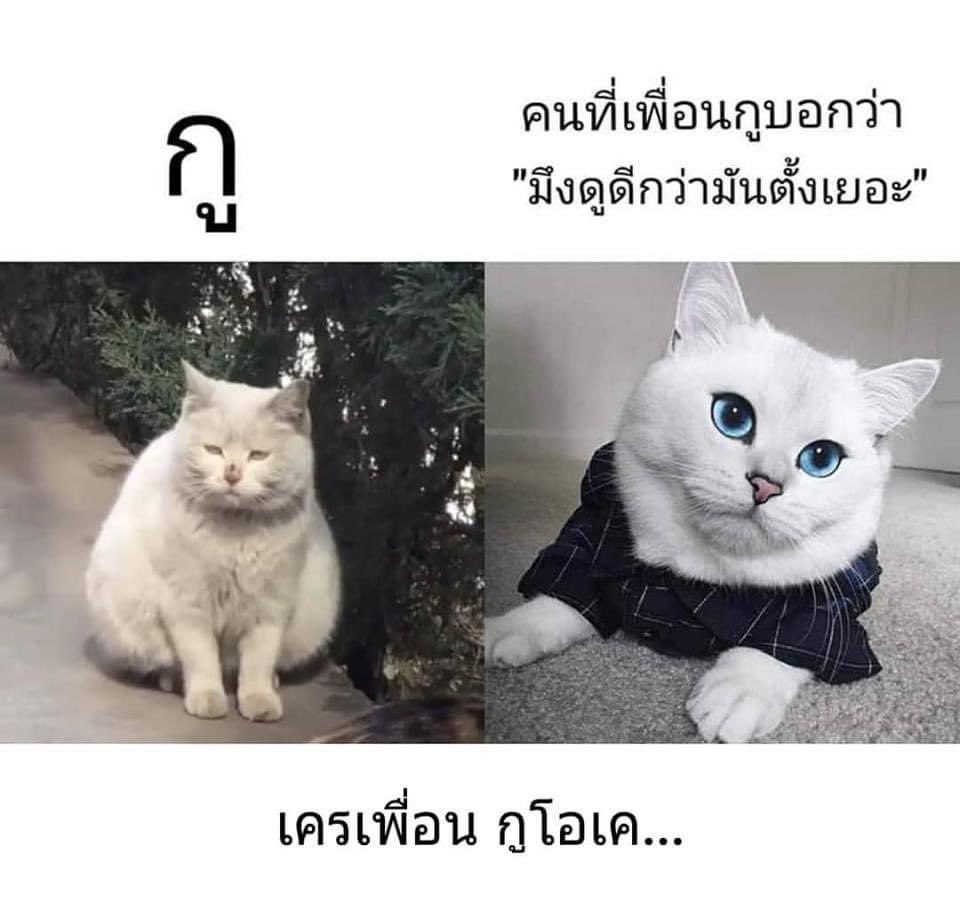 ขอบคุณนะเพิ่อนรัก 555555555555555