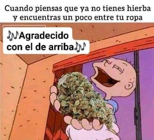 FloristaShopMX's tweet photo. Nuevos cartuchos disponibles potentes 1ml (1g) y 2ml (2g) pregunta por DM 
Varios sabores.
 #thc #weed #cdmx #mexico #CBD #munchis #florista
https://t.co/xhnLL3J11F https://t.co/LtbOzPy2YG