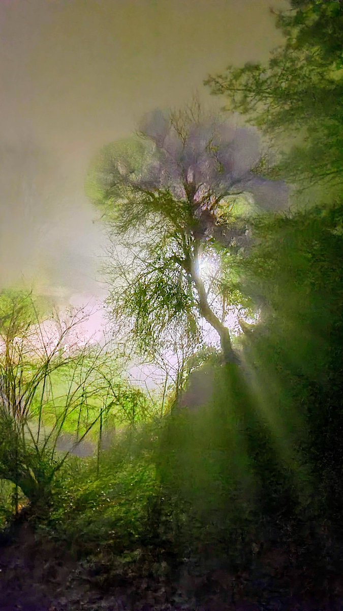 Christopher David tweet media