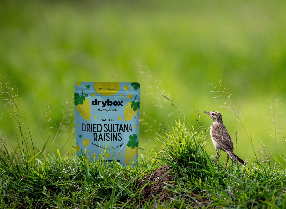 TasteDryBox's tweet photo. Perfect snack for your weekend park visit! Healthy &amp; tasty.. 
#drybox dried sultana raisins are available on @amazon https://t.co/qTLu9zHJ5o